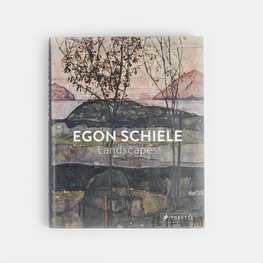 Egon Schiele: Landscapes / 埃贡·席勒：风景画 商品图0