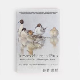 Humans  Nature  And Birds 人类，自然和鸟类