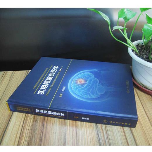 【正版】《实用颅脑创伤学》--刘佰运--中国医师协会神经损伤推荐用书 商品图3
