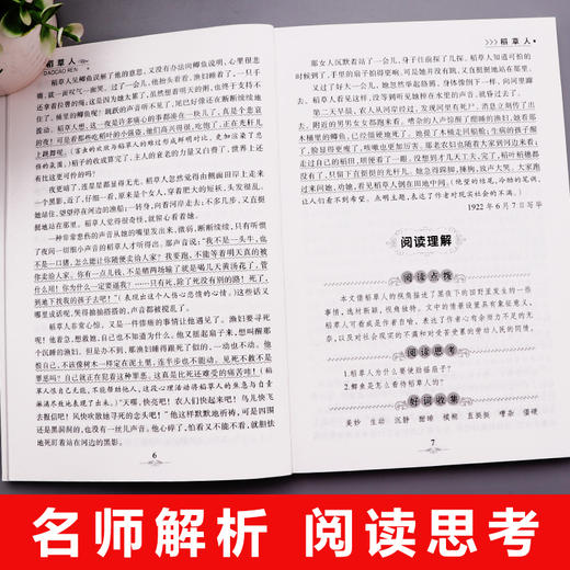 【心动价】小学生必读世界名著10册 稻草人叶圣陶爱的教育绿山墙的安妮正版原著小学生三 四 五 六年级课外阅读书初中生青少年版儿童读物 商品图3