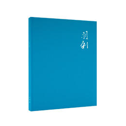 《羽彩》让世界惊艳的中国色彩派，吴大羽作品，读库笔记本