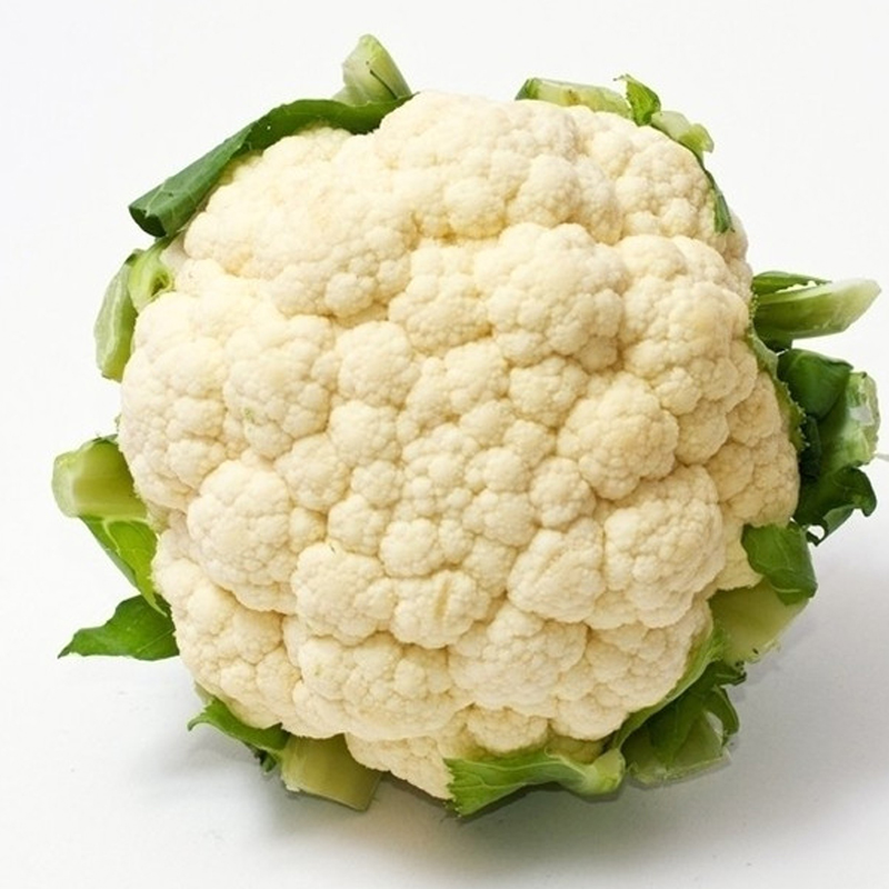 产销无缝对接 乡民安稳增收 嘉鱼县陆溪镇大棚蔬菜直送企业“中心厨房”