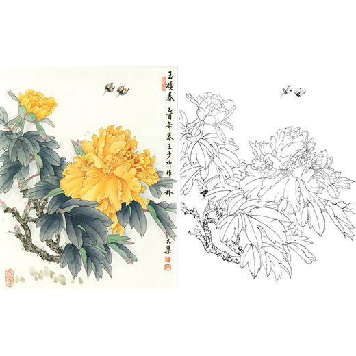 工笔花鸟白描底稿-王少卿牡丹-斗方小品册页-WK02 商品图0