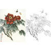 工笔花鸟白描底稿-王少卿牡丹-斗方小品册页-WK08 商品缩略图0