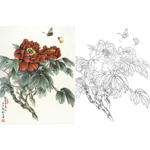 工笔花鸟白描底稿-王少卿牡丹-斗方小品册页-WK08 商品图0