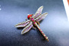 古董透烧珐琅蜻蜓胸针 商品缩略图4