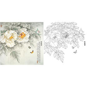 工笔花鸟白描底稿-王少卿牡丹-斗方小品册页-WK10