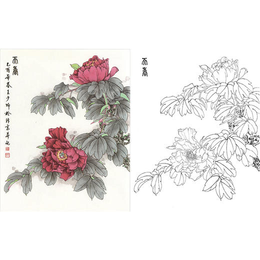 白描牡丹花鸟图片大全图片