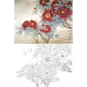 横幅工笔花鸟白描底稿-王少卿牡丹-WK14