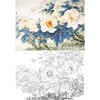 横幅工笔花鸟白描底稿-王少卿牡丹-WK12 商品缩略图0