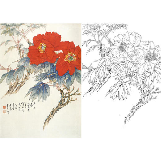 工笔花鸟白描底稿-王少卿牡丹-斗方小品册页-WK07 商品图0