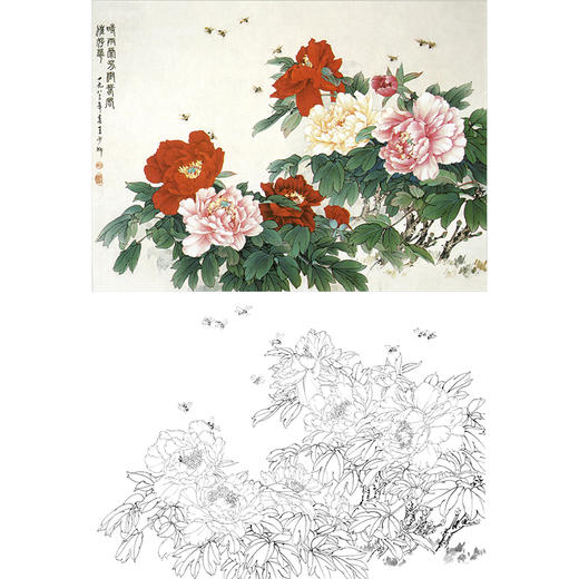 横幅工笔花鸟白描底稿-王少卿牡丹-WK11 商品图0