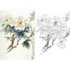 工笔花鸟白描底稿-王少卿牡丹-斗方小品册页-WK06 商品缩略图0
