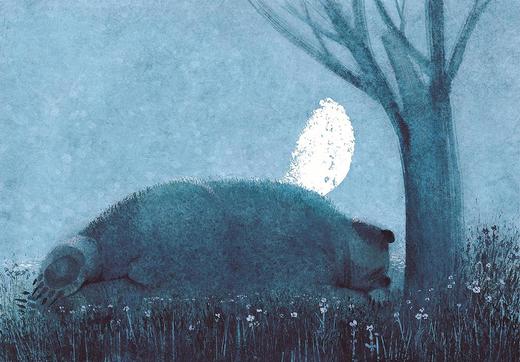 《熊梦蝶》女声-无配乐朗读版 商品图0