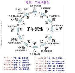 课二：道医讲解失眠调理—道医讲解 商品图0
