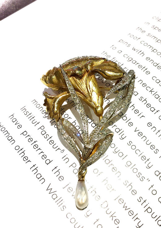 古董野生珍珠鸢尾花造型胸针 商品图1