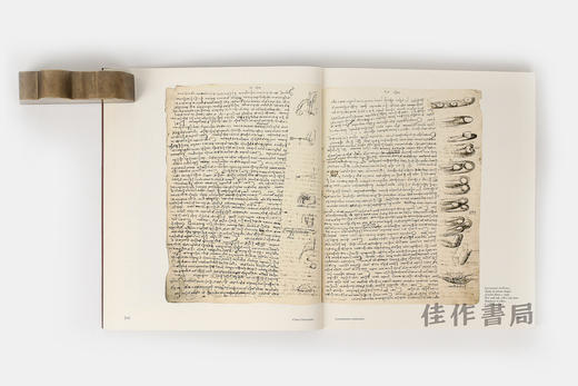 Leonardo, From Tuscany To The Loire 达芬奇：从托斯卡纳到卢瓦尔 商品图4