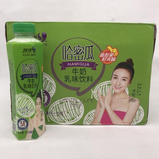 500ml*15瓶优洋牛奶 哈密瓜味 商品图0