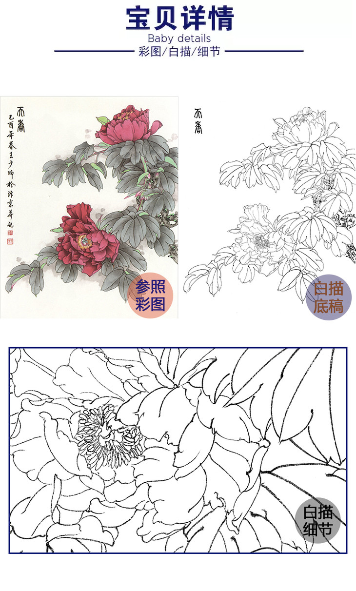 工笔花鸟白描底稿王少卿牡丹斗方小品册页wk04