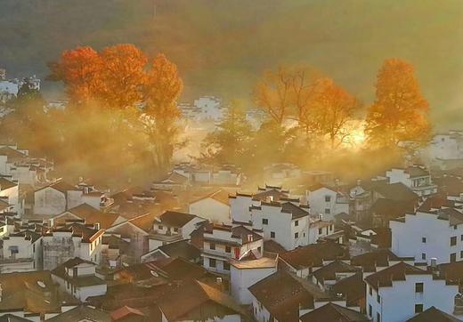 徽州古韵金秋丨婺源、石城、篁岭、宏村、石潭、塔川6天摄影团 商品图3