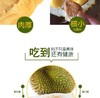 正宗马来西亚 猫山王榴莲【预售款，单独称重计价】 商品缩略图3