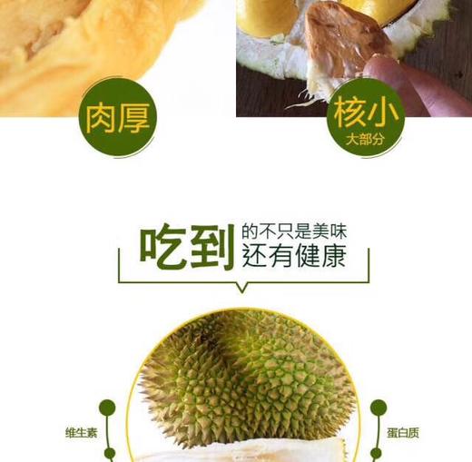 正宗马来西亚 猫山王榴莲【预售款，单独称重计价】 商品图3