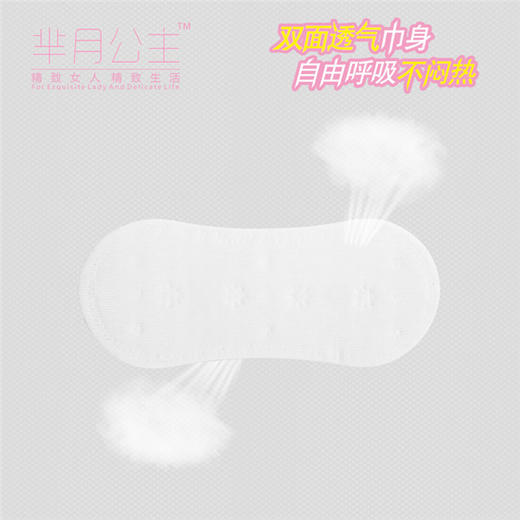 【整箱48包】芈月公主卫生护垫【160mm】 （两种包装随机发）原价720元 商品图1