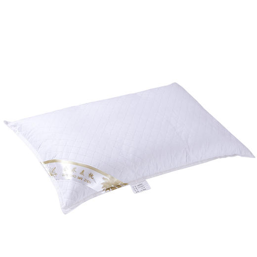 婴幼儿荞麦壳枕头青少年款40cm×60cm（包邮厂家代发） 原价99元 商品图0