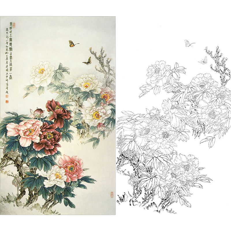 竖幅工笔花鸟白描底稿-王少卿牡丹-WK15