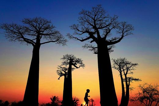 马达加斯加「东西穿越」7天6晚 商品图0