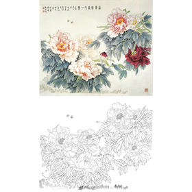 工笔花鸟白描底稿-王少卿牡丹-斗方小品册页-WK13