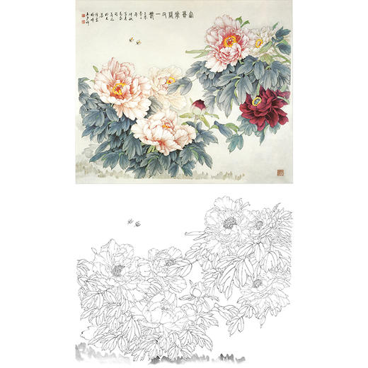 工笔花鸟白描底稿-王少卿牡丹-斗方小品册页-WK13 商品图0