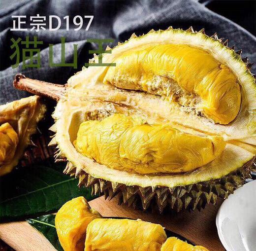正宗马来西亚 猫山王榴莲【预售款，单独称重计价】 商品图0