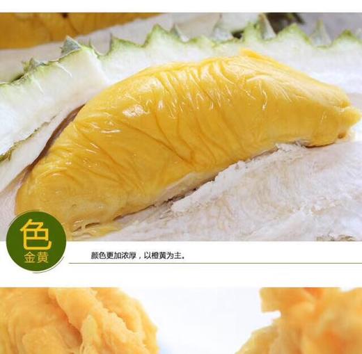 正宗马来西亚 猫山王榴莲【预售款，单独称重计价】 商品图1