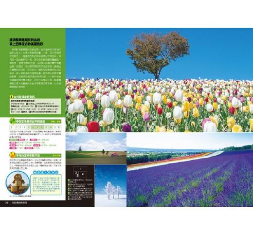 【中商原版】日本绝景之旅 港台原版 K&B PUBLISHERS 人人 旅游 日本 日本旅游 商品图1