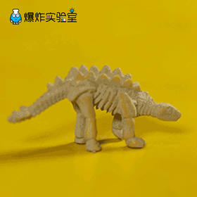 考古恐龙化石挖掘