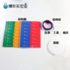 DNA模型 商品缩略图4