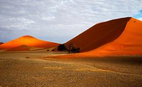 （永久下架）预付 纳米比亚沙海交响12日