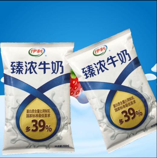 【百汇到家】伊利臻浓利乐枕牛奶230ml 商品图0
