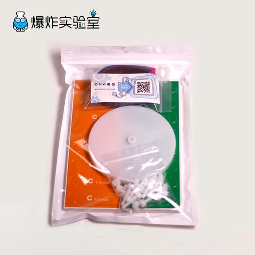 DNA模型 商品图2