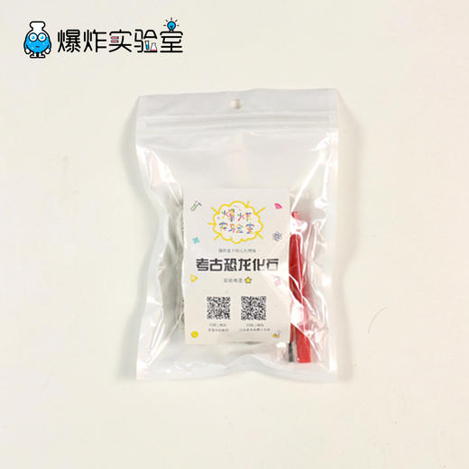 考古恐龙化石挖掘 商品图2