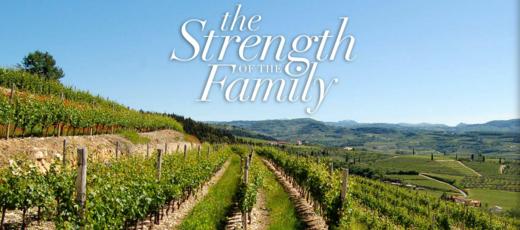 托马斯酒庄瑞帕索瓦尔普利切拉红葡萄酒(375ml)2017Tommasi Ripasso Valpolicella Classico Superiore, Veneto, Italy 商品图5