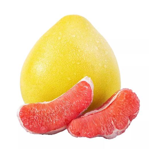 红心柚 (处红柚)