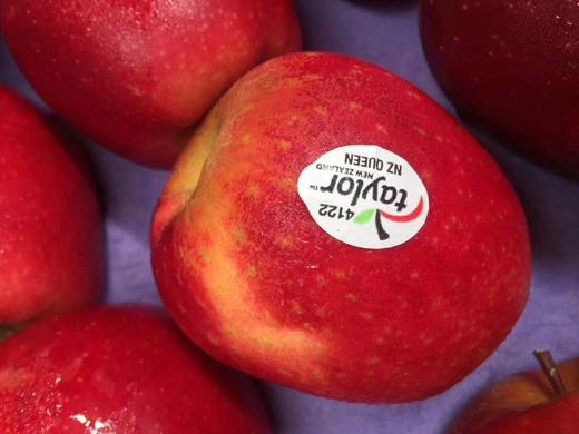 新西兰红玫瑰 商品图3