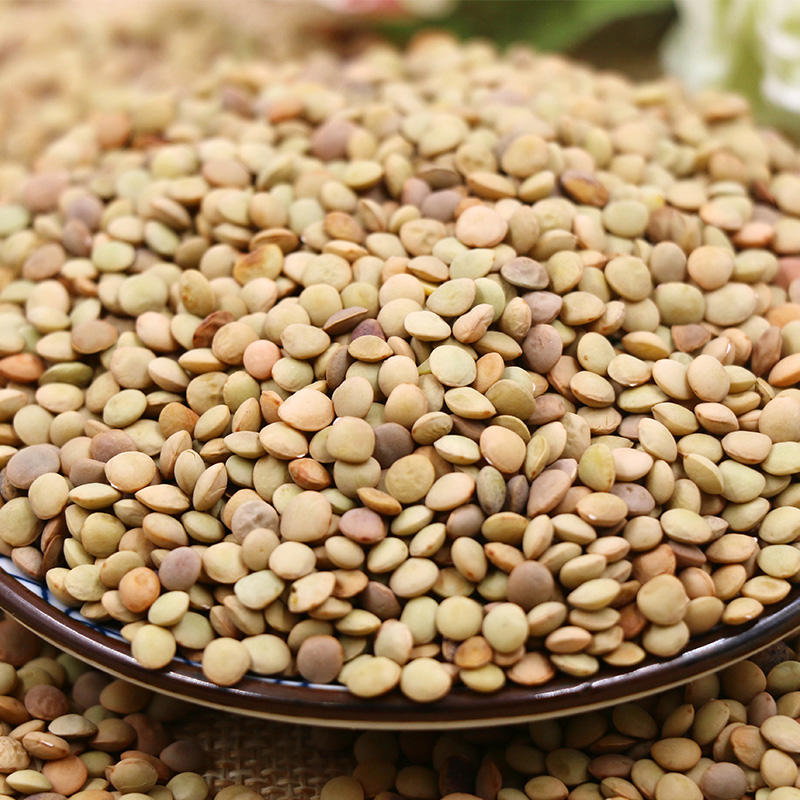 【五谷杂粮】优质山地扁豆 500g×2袋 农家五谷杂粮 粗粮塑料袋装