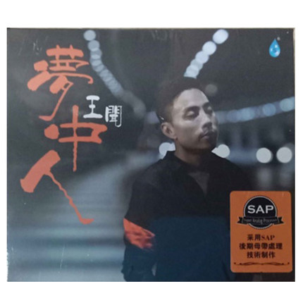 王闻 梦中人 2018新专辑 磁性发烧男声 正版CD 雨林唱片