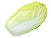 【新鲜】新大白菜约2.5千克/个重量不等现场补差价！！【1.8元/斤】 商品缩略图0