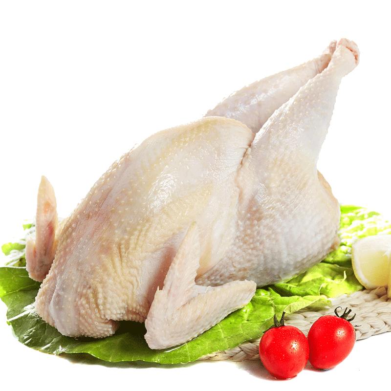 橘园老母鸡月子鸡  2斤装 顺丰/京东快递 整只鸡发货