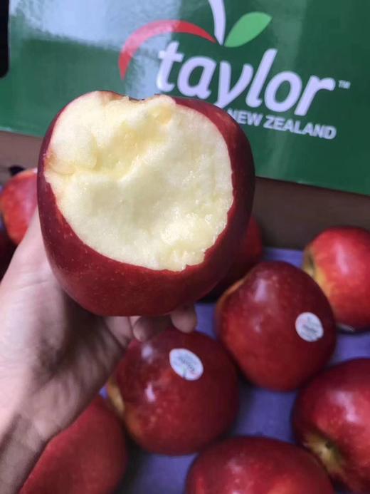 新西兰红玫瑰 商品图2