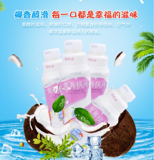 【百汇到家】娃哈哈椰子味营养快线500ml 商品图3